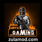 Arya Gaming Injector