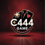 C444 Game