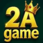 2A Game