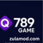 Q789 Game